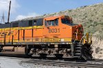 BNSF 8031